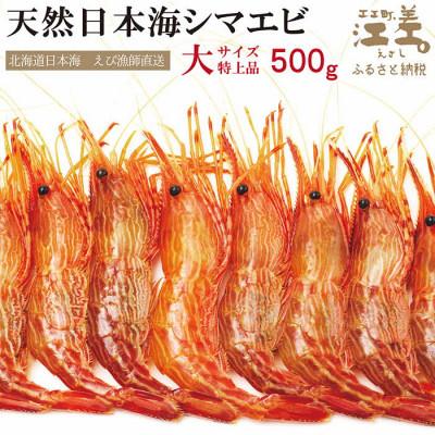ふるさと納税 江差町 北海道産 違いが分かる天然もの 日本海シマエビ 大サイズ500g