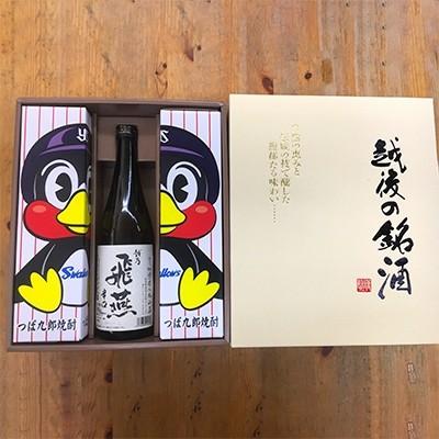 ふるさと納税 燕市 乙類焼酎「つば九郎焼酎」と清酒「越乃飛燕辛口」セット｜y-sf｜02