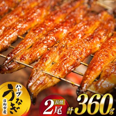 ふるさと納税 日向市 宮崎県日向市産 鰻楽ハーブうなぎ蒲焼2尾(計360g)