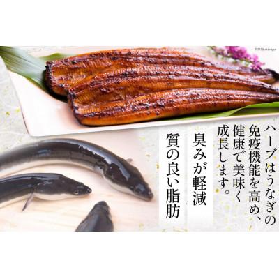 蒲焼さま専用 1104670_00_1743396797.jpg