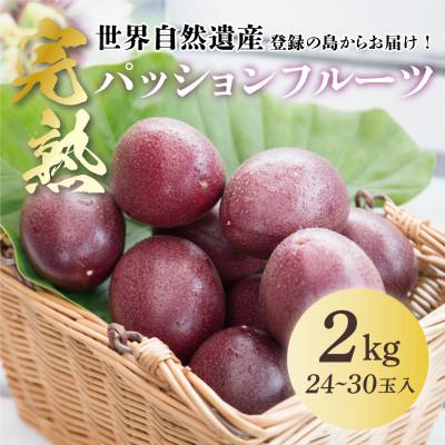 ふるさと納税 龍郷町 [さとふる限定][奄美大島産]香り爽やかパッションフルーツ (2kg / 24〜30玉入)