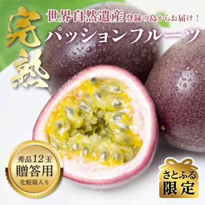 ふるさと納税 龍郷町 [さとふる限定]奄美大島産パッションフルーツ 約1.0kg (12玉) [秀品]