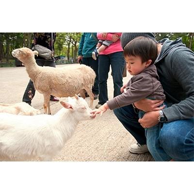 ふるさと納税 猪苗代町 磐梯高原南ヶ丘牧場 ふるさと応援券(レジャー施設・レストラン・売店で使用できるチケット引換券)1枚