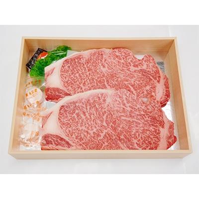 ふるさと納税 諫早市 長崎和牛サーロインステーキ用(約220g×2枚)