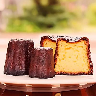 ふるさと納税 四万十町 外カリッ!中もっちり!ダバダ火振と米粉の四万十カヌレ20個Ias-01