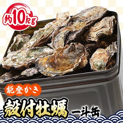 ふるさと納税 七尾市 能登牡蠣 殻付 牡蠣 一斗缶/約10kg(約80〜100個)専用ナイフ、片手用軍手付 ※加熱用