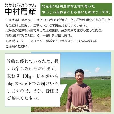 ふるさと納税 北見市 北見産 玉ねぎじゃがいもセット 15kg|y-sf|04