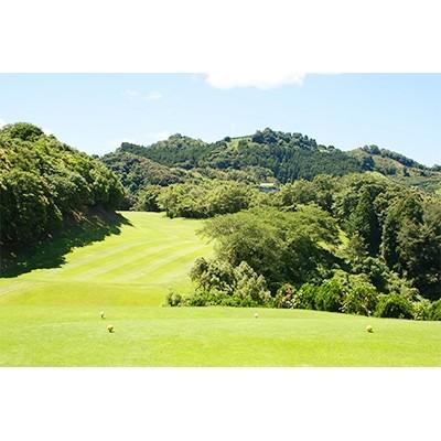 ふるさと納税 紀美野町 【国木原ゴルフ結社】全日掻き鳴らす誘い出す券(1名様分)