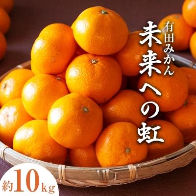 ふるさと納税 有田市 有田みかん「未来への虹」約10kg(藤田農園
