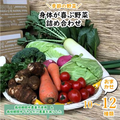 ふるさと納税 潮来市 『身体が喜ぶ野菜』詰め合わせ(おまかせ10〜12品)