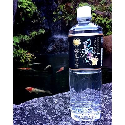 ふるさと納税 大月市 奇跡の飲む温泉水「真木温泉 弥生の舞」　飲泉力1000ml 20本入り 