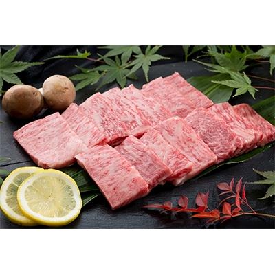 ふるさと納税 唐津市 [ばってん唐津]「佐賀牛」カルビ焼肉用500g