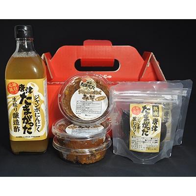 ふるさと納税 唐津市 唐津ジャンボにんにく「たまがった」特選クール便