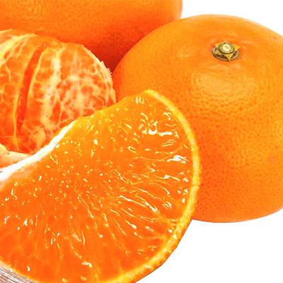 ふるさと納税 湯浅町 [先行受付 2027年2月下旬より発送] 希少柑橘 せとか 3キロ