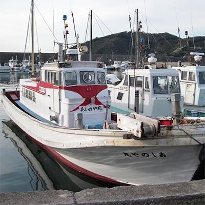 ふるさと納税 湯浅町 船釣り体験!太刀魚またはカワハギ 乗船券(1名様・乗合)