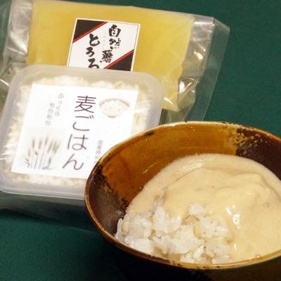 ふるさと納税 那珂川市 那珂川市産自然薯使用 自然薯麦とろセット(4人前)