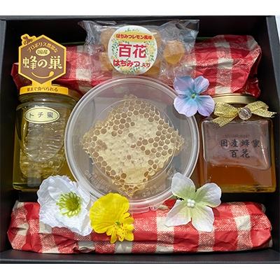 ふるさと納税 君津市 はちみつ工房 巣蜜 コムハニー 蜂蜜ギフト4点セット さとふる 通販 Yahoo ショッピング