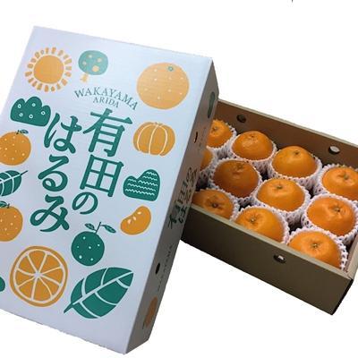 ふるさと納税 湯浅町 [まごころ手選別]和歌山県産 はるみ 化粧箱 2Lサイズ12個入[2027年1月下旬より順次発送]