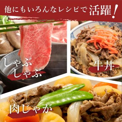 ふるさと納税 伊万里市 【伊万里牛】(A5)かた薄切り700g　J007｜y-sf｜03