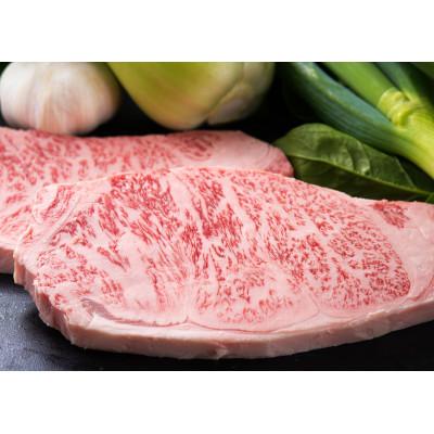 ふるさと納税 豊後大野市 おおいた和牛(おおいた豊後牛)サーロインステーキ用 250g×2枚