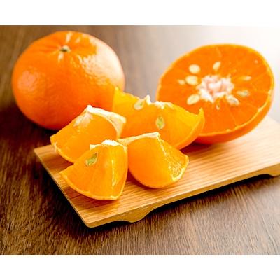 広川町 ふるさと納税 香り高い柑橘 麗紅 約4kg Www Mohmmadiyon Com