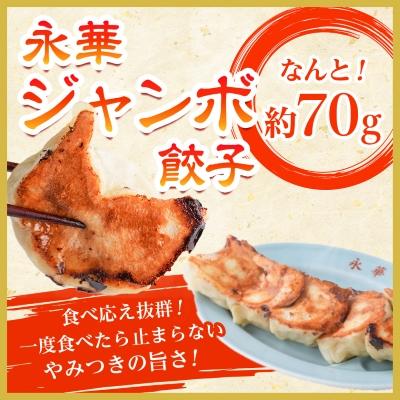 ふるさと納税 佐野市 佐野餃子(大)10個2人前×2パックと佐野餃子(中)24個4人前×2袋_1