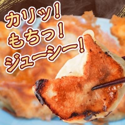 ふるさと納税 佐野市 佐野餃子(大)10個2人前×2パックと佐野餃子(中)24個4人前×2袋_2