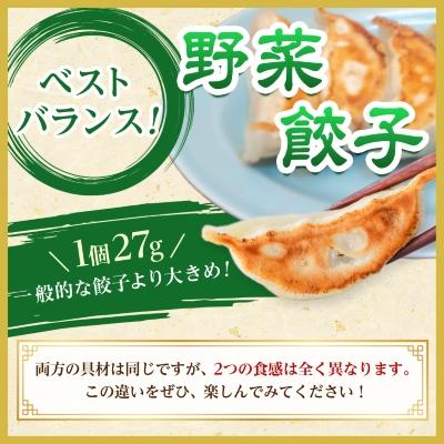 ふるさと納税 佐野市 佐野餃子(大)10個2人前×2パックと佐野餃子(中)24個4人前×2袋_3