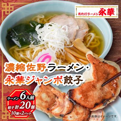 ふるさと納税 佐野市 佐野餃子(大)10個2人前×2パックと濃縮佐野ラーメン6人前