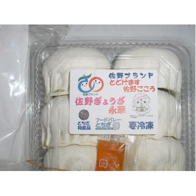 ふるさと納税 佐野市 佐野餃子(大)10個2人前×2パックと濃縮佐野ラーメン6人前_3