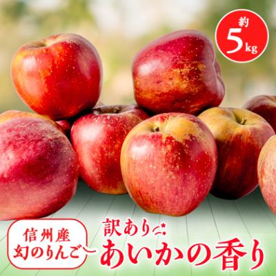 ふるさと納税 南箕輪村 家庭用 甘い 希少 りんご あいかの香り 5キロセット さとふる 通販 Yahoo ショッピング