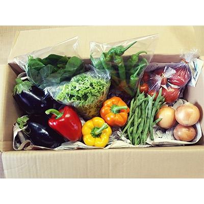 ふるさと納税 土佐町 土佐れいほく野菜[y1]