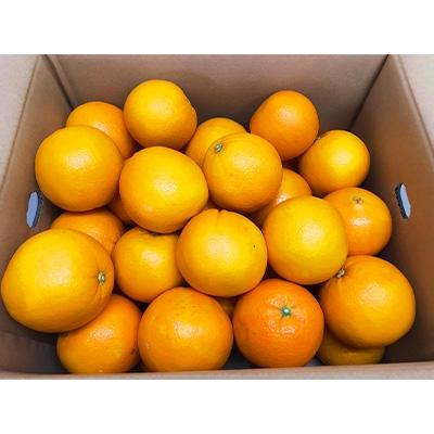 ふるさと納税 三豊市 ネーブル 9kg(36〜60玉入り)