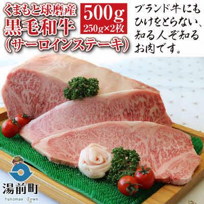 ふるさと納税 湯前町 くまもと球磨産 黒毛和牛(サーロインステーキ 250g×2枚)