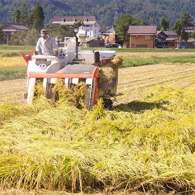 ふるさと納税 南魚沼市 雪室貯蔵・南魚沼　塩沢産コシヒカリ　10kg 