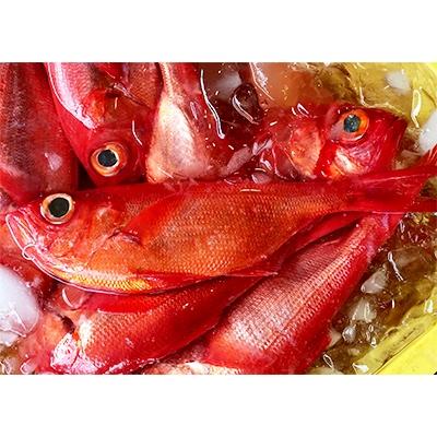 ふるさと納税 勝浦市 勝浦灯台沖釣り金目鯛約300g 450g 2尾 煮つけのタレ付 Mサイズセット さとふる 通販 Yahoo ショッピング
