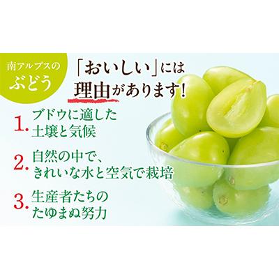 ふるさと納税 シャインマスカット 南アルプス市 ぶどう「シャイン