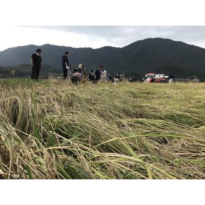 ふるさと納税 弥彦村 「ヨシカワ郷技 タンブラー(300ml)1個」×弥彦酒造「彌彦愛国 純米吟醸 720ml」1本セット_3