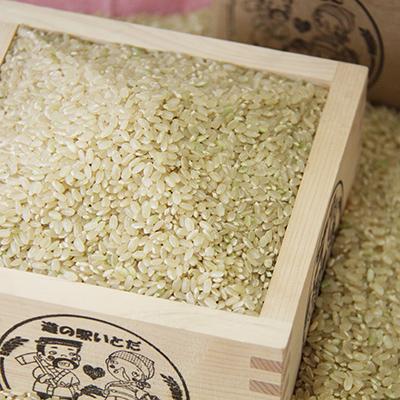 ふるさと納税 糸田町 いとだ泌泉米 (玄米 30kg) 