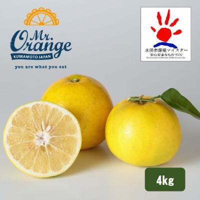 ふるさと納税 水俣市 環境マイスターが育てた「グレープフルーツ」良・訳あり混合4kg