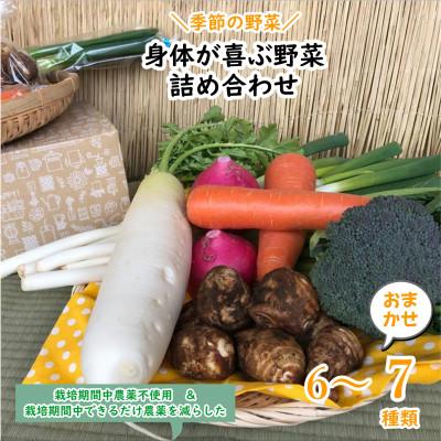 ふるさと納税 潮来市 [ハーフサイズ]『身体が喜ぶ野菜』詰め合わせ(おまかせ)潮来はぐくみのもり