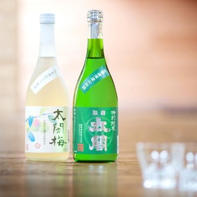 ふるさと納税 唐津市 唐津地酒SELECT A-4(聚楽太閤 特別純米酒720ml、梅酒 太閤梅720ml×各1本)