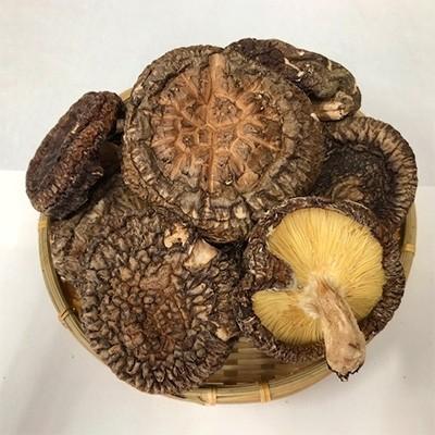 ポイント10倍 藤枝市 ふるさと納税 厳選 こだわりの原木栽培の肉厚椎茸 350g さとふる 通販 Yahoo ショッピング 送料無料 Blog Lonolife Com