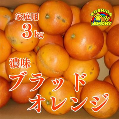 ふるさと納税 宇城市 先行予約 家庭用 濃味ブラッドオレンジ 3kg(約15〜25個)