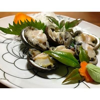 ふるさと納税 屋久島町 屋久島産 加熱用「いそもん」500g[海水で冷凍]