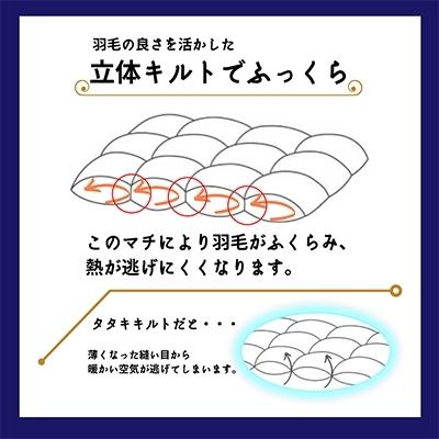 ふるさと納税 亀岡市 <京都金桝> 羽毛布団 掛け布団 ハンガリーダウン90% シングル ブルー DP350 アクア|y-sf|02
