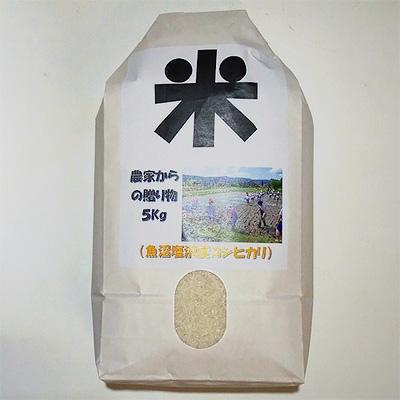 ふるさと納税 南魚沼市 南魚沼産(しおざわ)こしひかり 栽培期間中農薬を使用せず育てた米 精米5kg