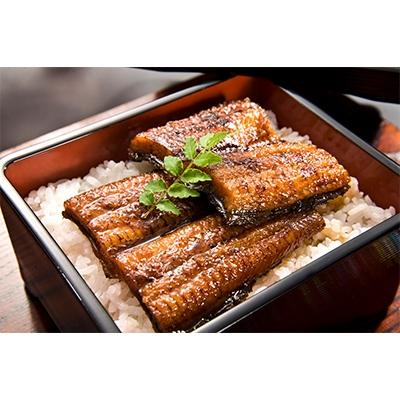 ふるさと納税 宮崎市 [宮崎県佐土原産]備長炭手焼き 和匠カット10パックセット