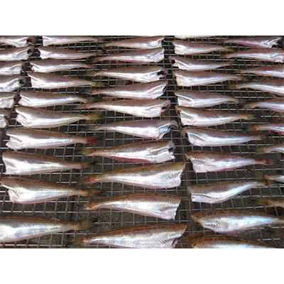 宮津市 ふるさと納税 ハタハタ 小 干物 一夜干し 無頭 約250g 4袋 Erhamah Com