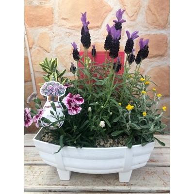 母の日に 季節のおまかせ寄せ植え船型プランター お礼品詳細 ふるさと納税 藤枝市 ふるさと納税